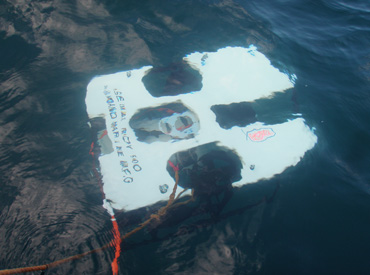 ROV�����J�����E�r�f�I�B�e