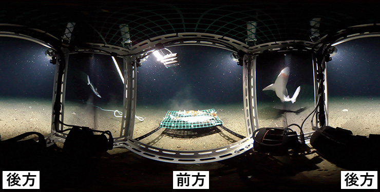 360度撮影した画像