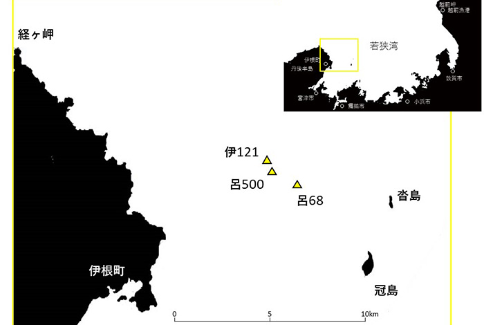 若狭湾調査海域