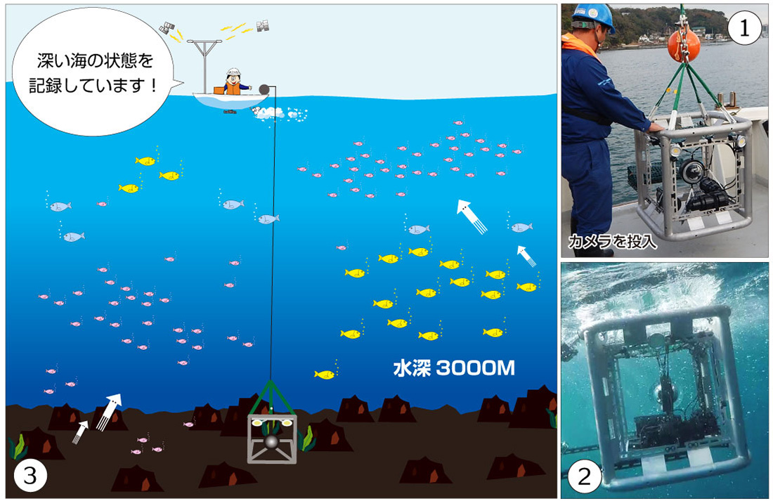 深海カメラ