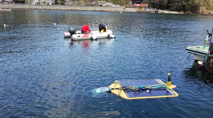 海底の地形や動植物の状態を調査