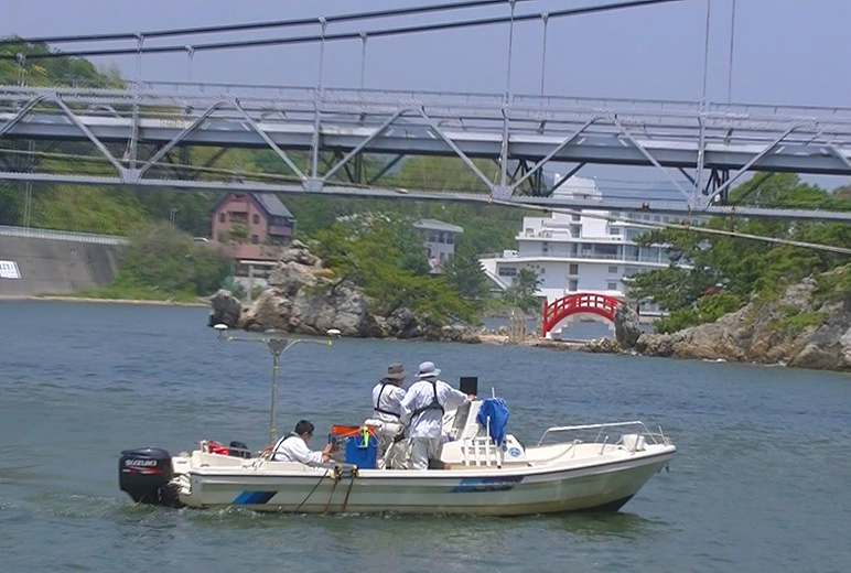 浜名湖に沈んだ戦車「チト」調査